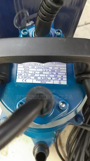 1hp Aquapond Submersible Pump With Float Switch
