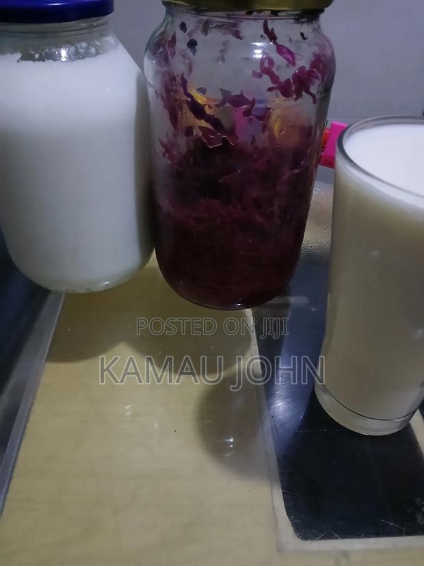 Kefir Grain - thumbnail 8