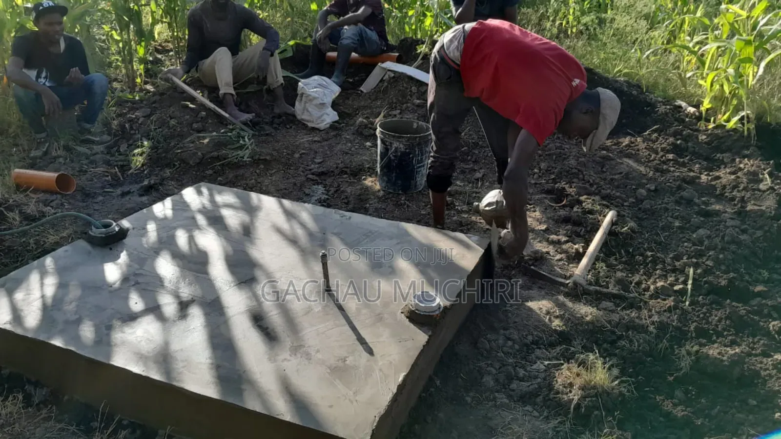 Complete Package Biodigester and Biogas