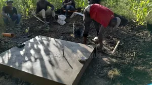 Complete Package Biodigester and Biogas