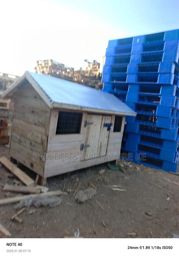 Doggy Siute - main view