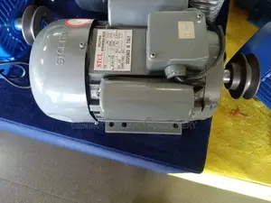 Motor With Pulley