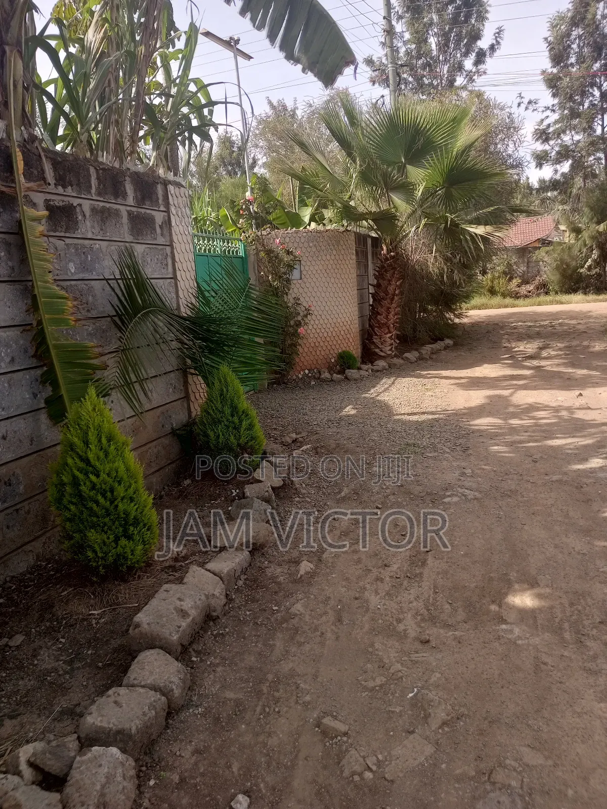 3 Bedrooms Bungalow on 50/100 Plot