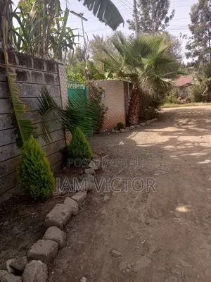 3 Bedrooms Bungalow on 50/100 Plot