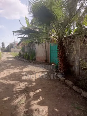 3 Bedrooms Bungalow on 50/100 Plot