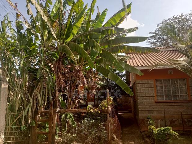 3 Bedrooms Bungalow on 50/100 Plot - thumbnail 5