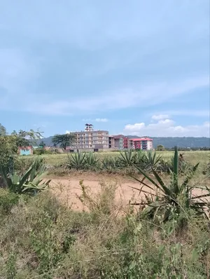 Machakos-Kenya Israel 50 by 100ft Plot.