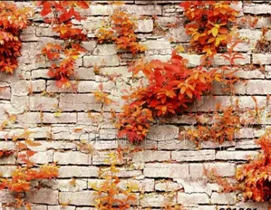 Living Room Backdrop Wall Deco