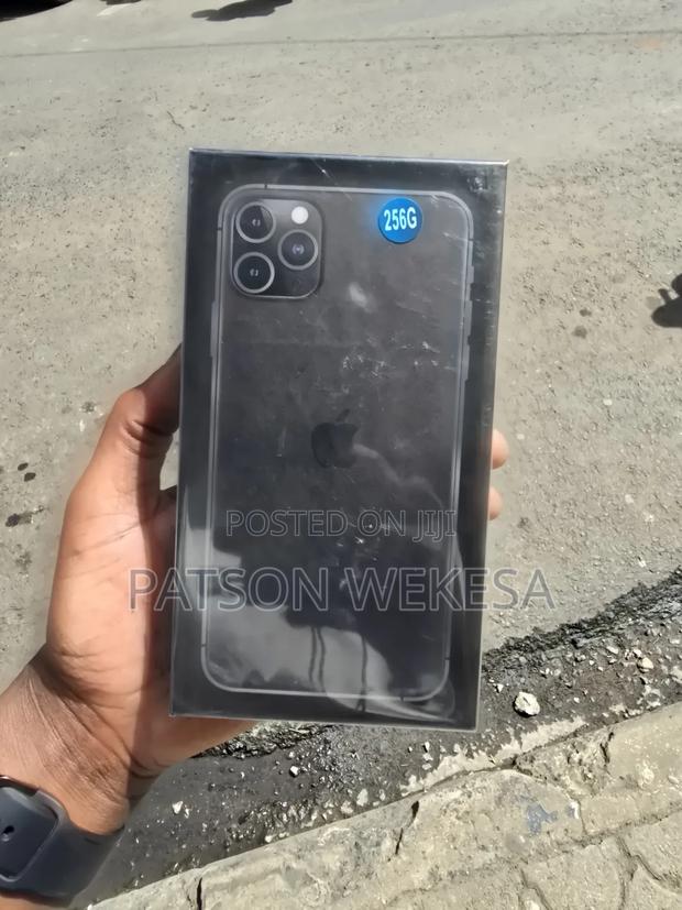 New Apple iPhone 11 Pro Max 256 GB Gray - main view