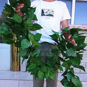Artificial Vines Money Plant for Wall and Ceiling Decor
