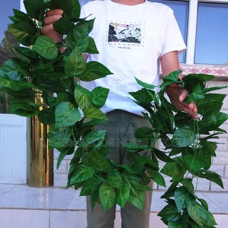 Artificial Vines Money Plant for Wall and Ceiling Decor