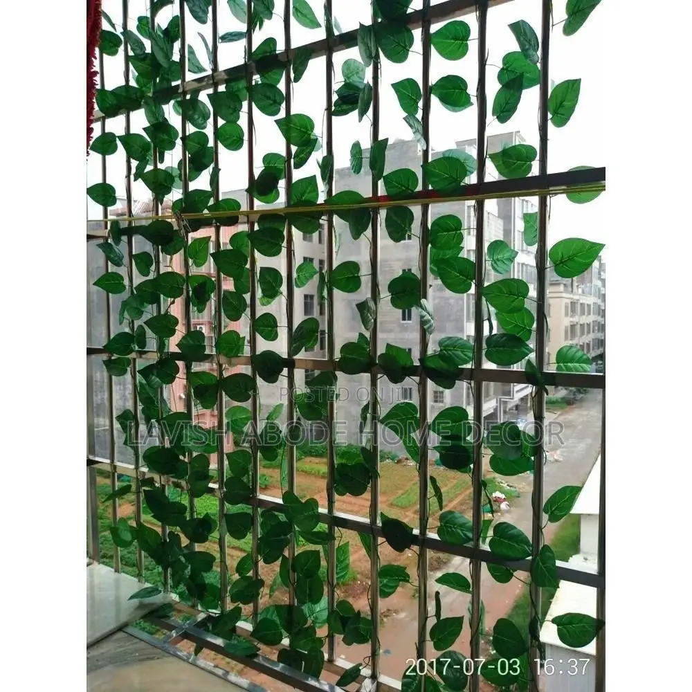 Artificial Vines Money Plant for Wall and Ceiling Decor