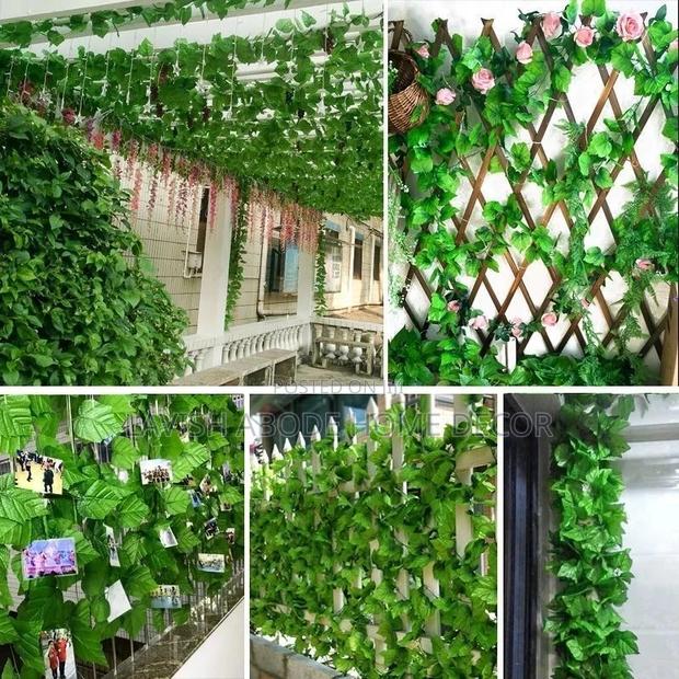 Artificial Vines Money Plant for Wall and Ceiling Decor - thumbnail 5
