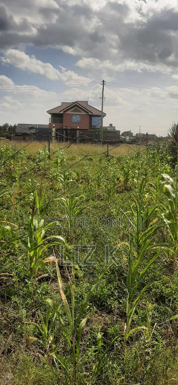 40x60 Plot in Murera