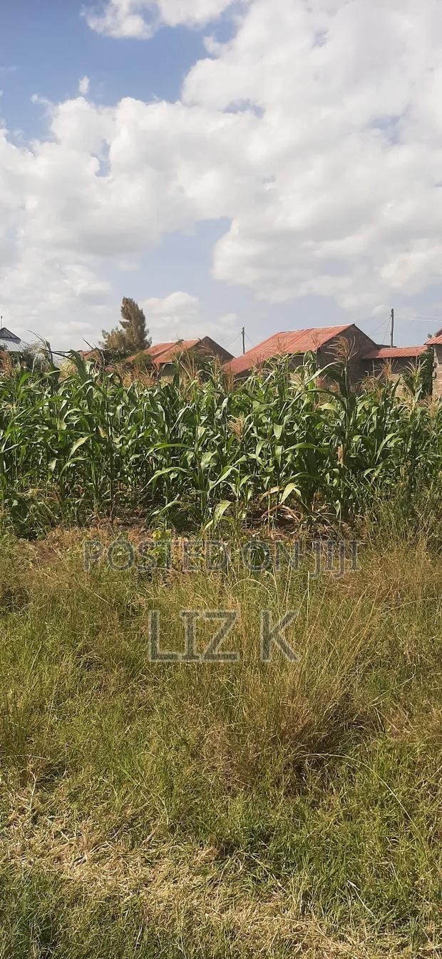 40x60 Plot in Murera - thumbnail 4