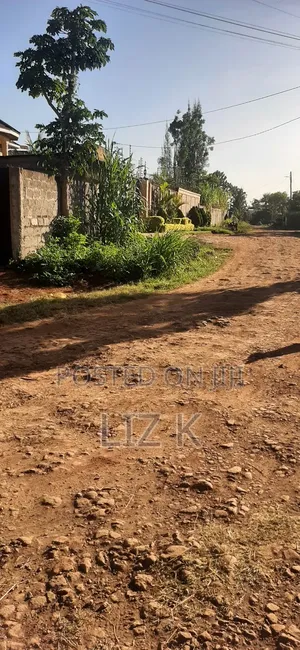 Plot for Sale in Mugutha Opposite Pcea Mukuyu Church.