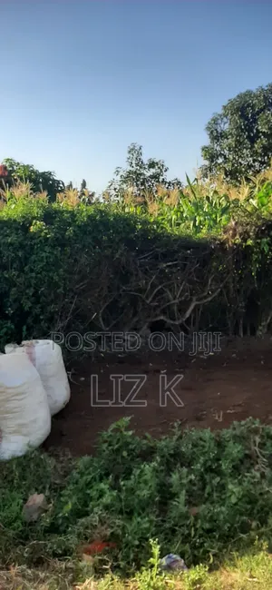 Plot for Sale in Mugutha Opposite Pcea Mukuyu Church.