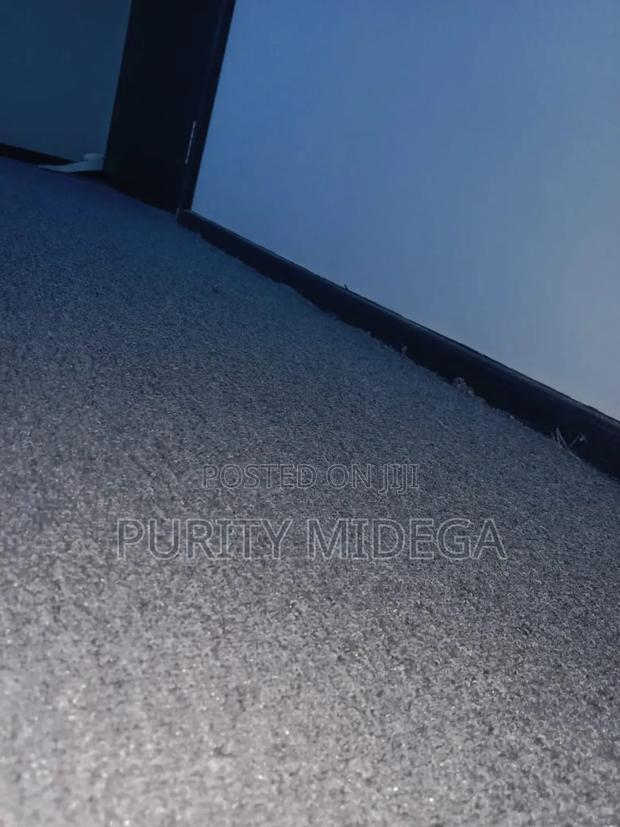 Light Grey Wall to Wall Carpets - thumbnail 2