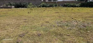 Prime Plots For Sale In Annex Blossom In Eldoret