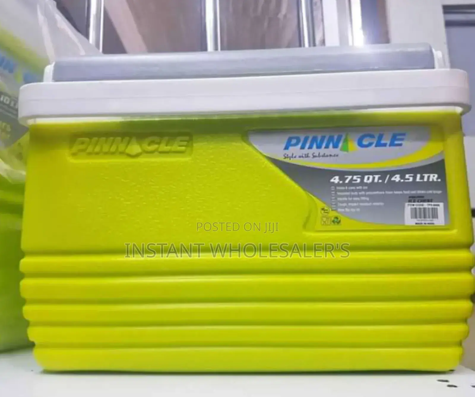 4.5 Litres Cooler Boxes