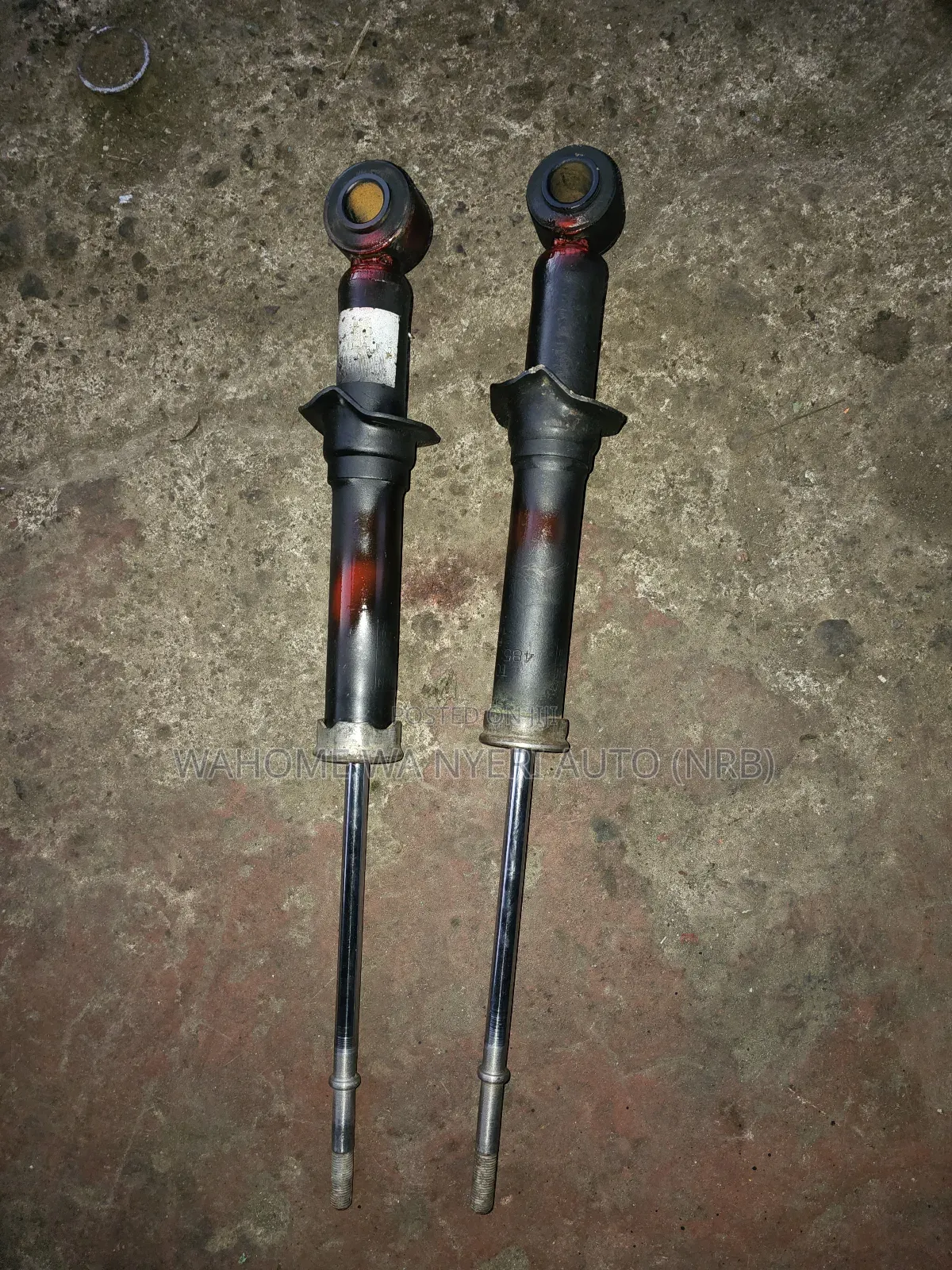 Rear Shocks for Vista
