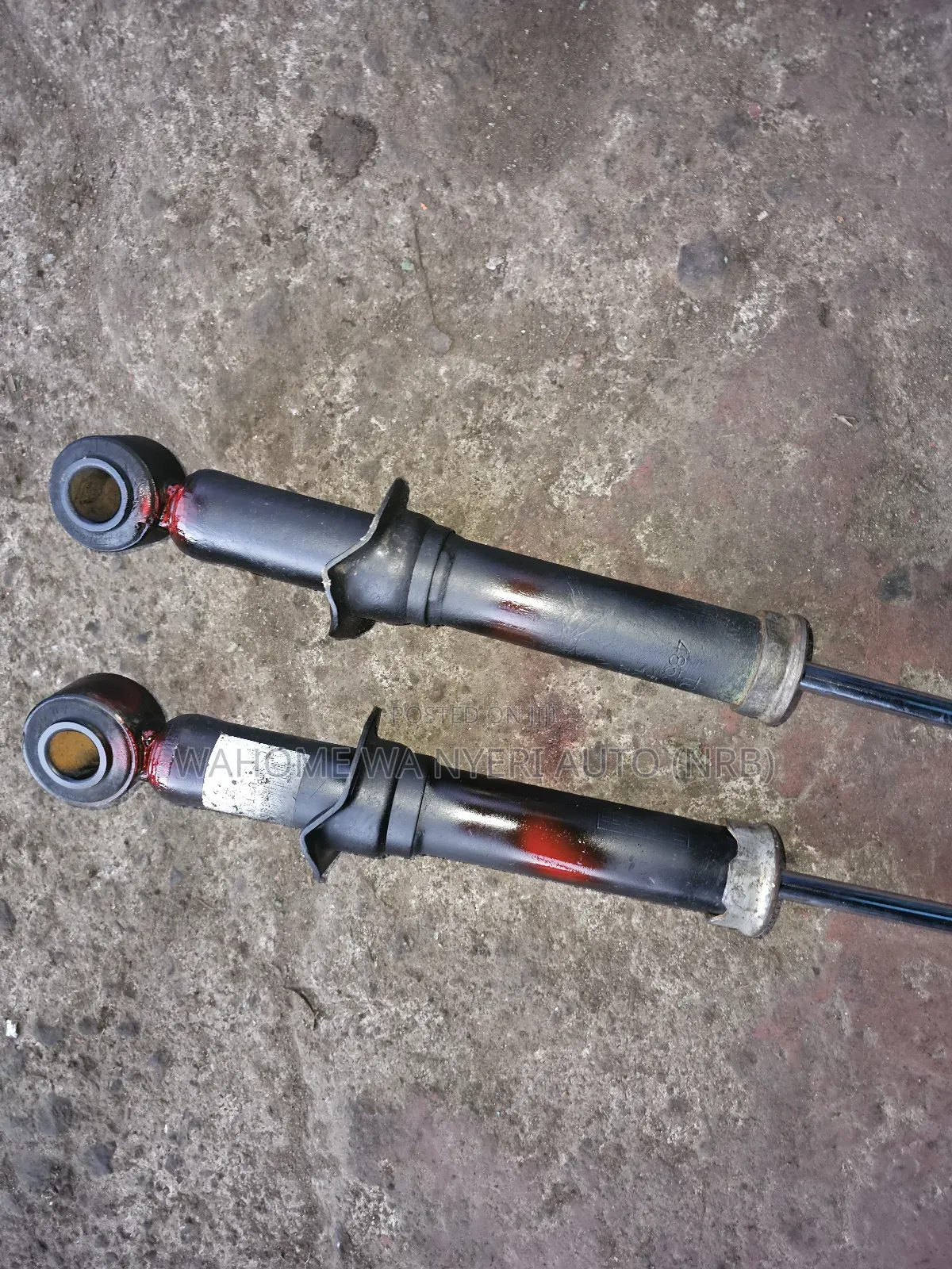 Rear Shocks for Vista