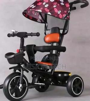 Tricycle With Canopy - thumbnail 2