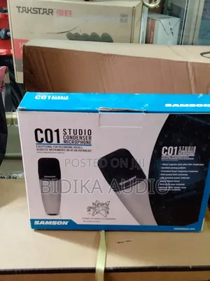 Brand New C01 Studio Condenser Microphone