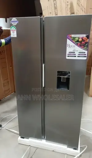 Roch Side by Side 439L Fridge With Water Dispenser