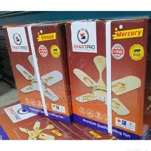 Smart Pro 24 Inches Ceiling Fan