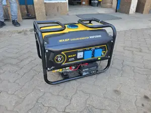 Wasp 2.5 Kw Genetator