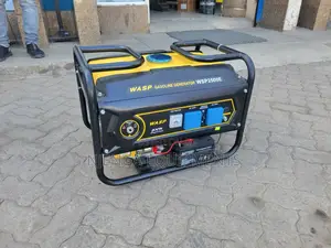 Wasp 2.5 Kw Genetator