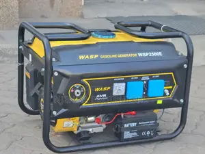 Wasp 2.5 Kw Genetator