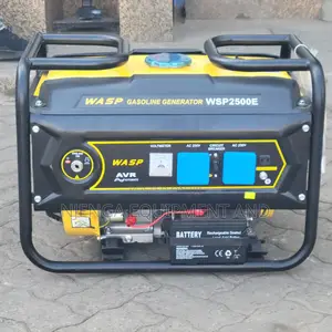Wasp 6.5 Hp Generator