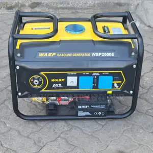 Wasp WSP2500E 2.5kw Generator