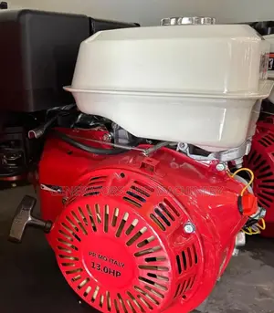 11hp Primo Italy Engine