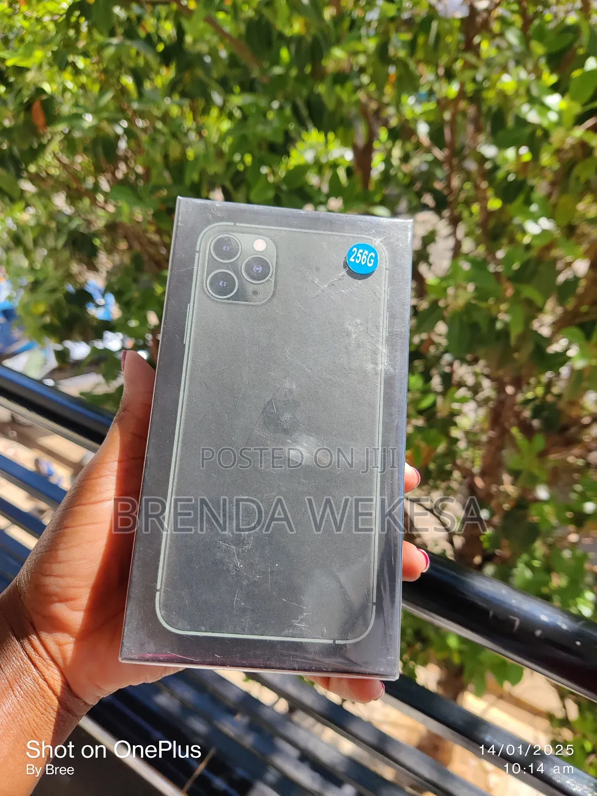 Apple iPhone 11 Pro Max 256 GB Gray