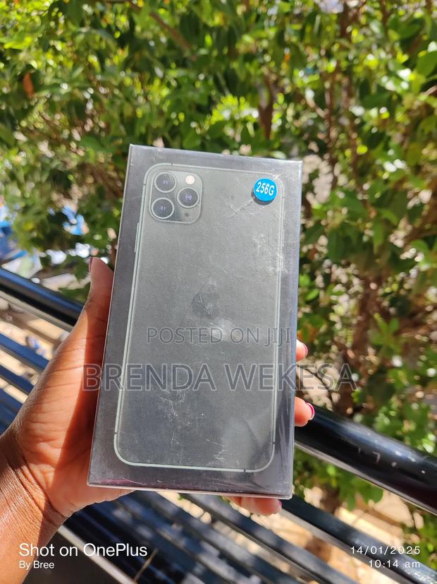 Apple iPhone 11 Pro Max 256 GB Gray - main view