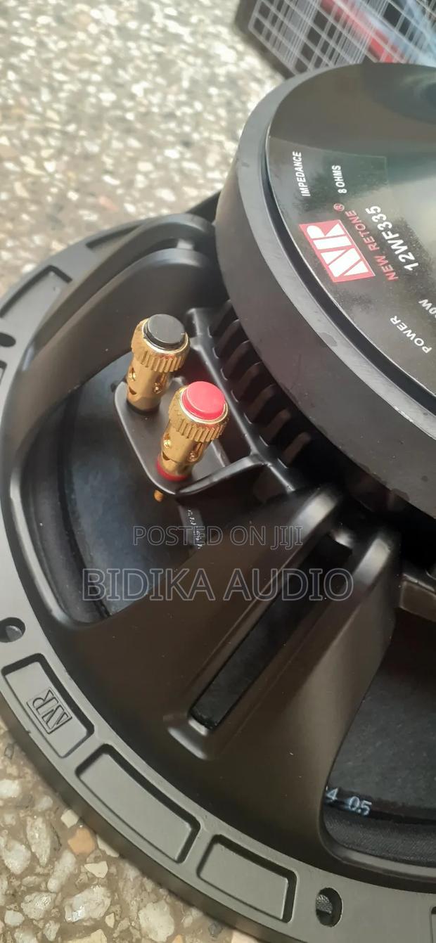 New Professional Naked Speaker - thumbnail 2