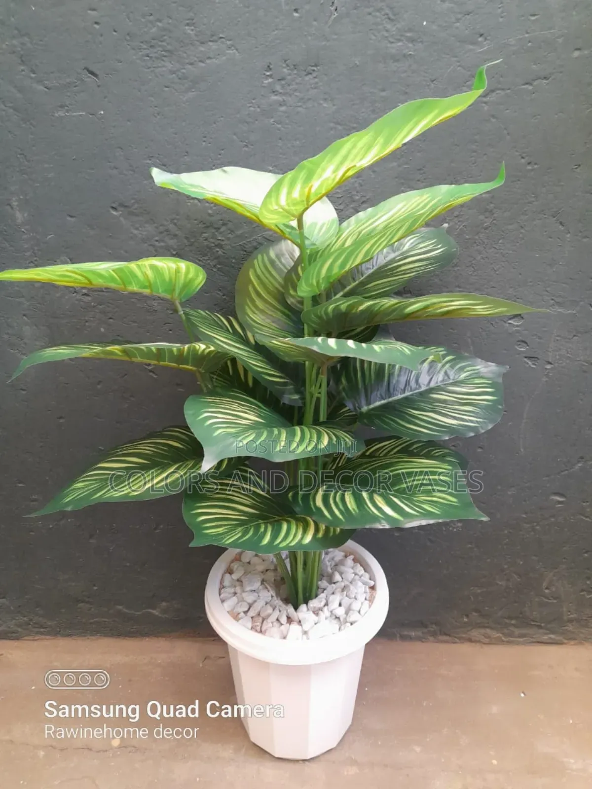 Stripped Plant With Vase 80 Cm