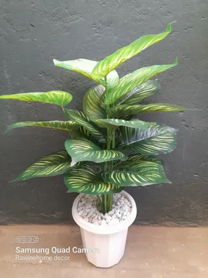 Stripped Plant With Vase 80 Cm