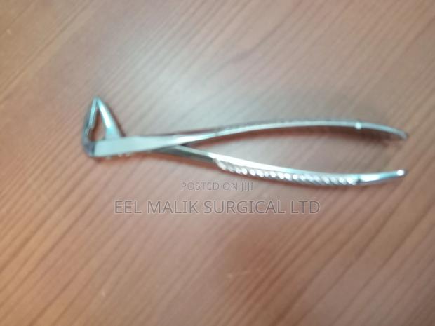 Dental Forcep Stainless Steel