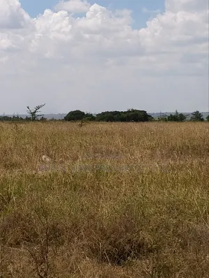 Joska Prime Plots
