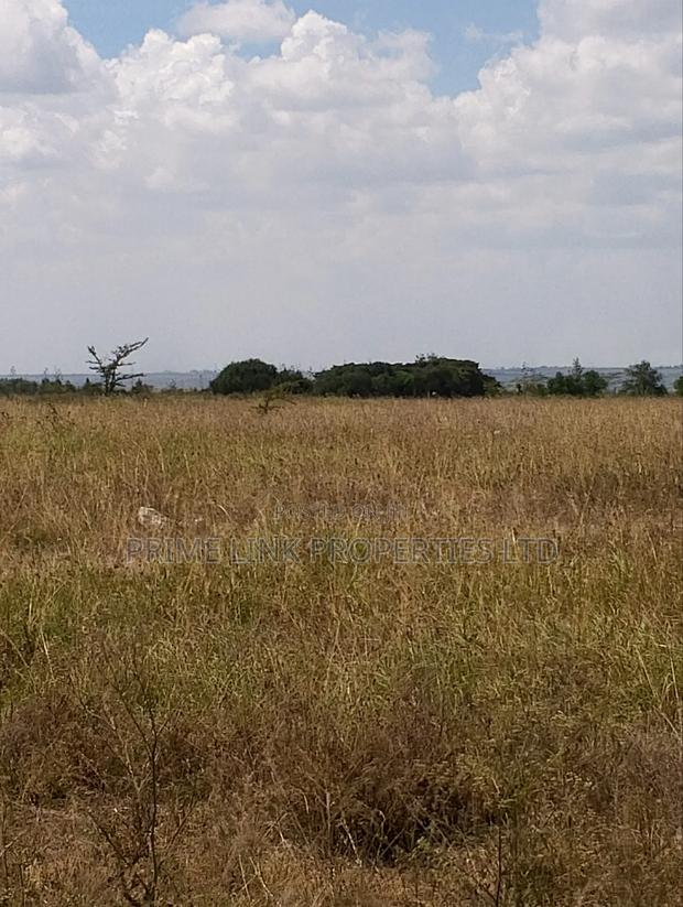 Joska Prime Plots - main view