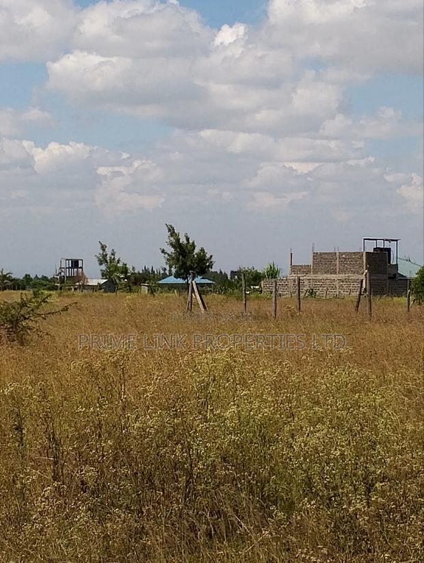 Joska Prime Plots - thumbnail 2