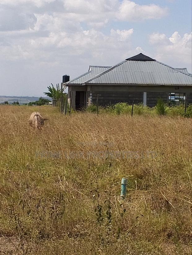 Joska Prime Plots - thumbnail 3