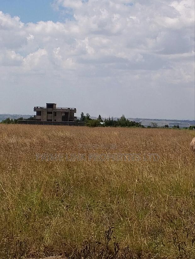 Joska Prime Plots - thumbnail 4