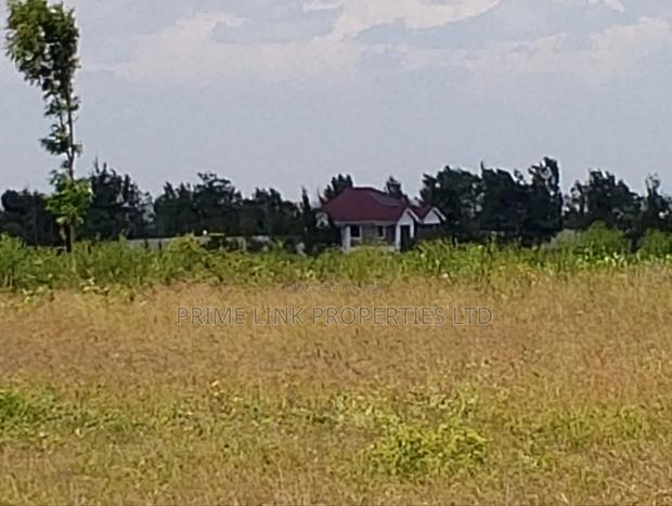 Joska Prime Plots - thumbnail 6