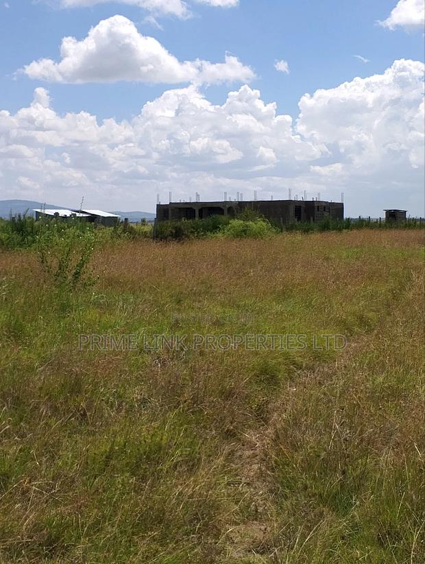 Joska Prime Plots - thumbnail 7