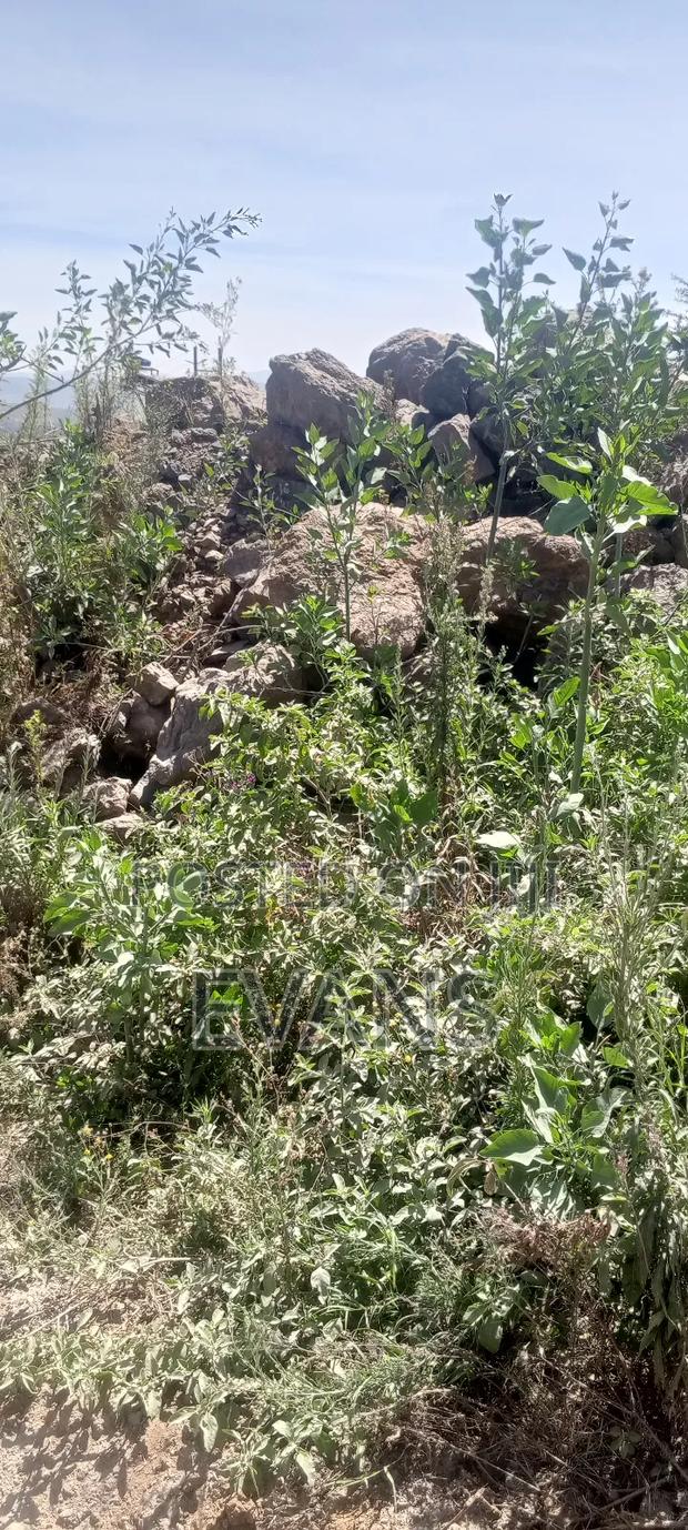 5 Acres Land for Barrast/Kokoto Mining - thumbnail 4